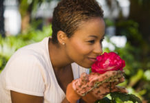 Le malattie delle rose – 2 parte 529 0 050 Le malattie delle rose 2^parte